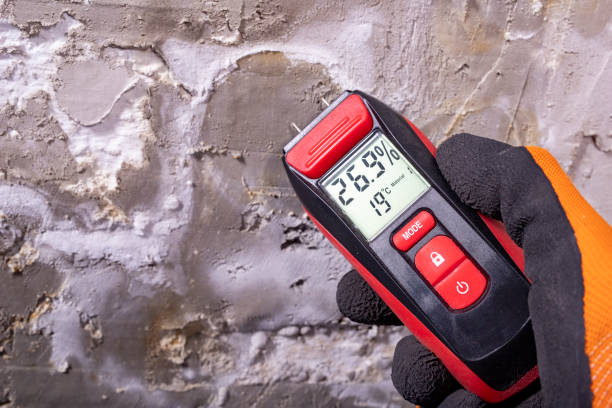 Best Water Damage Restoration  in Carey, OH