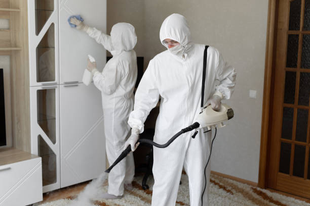 Best Attic Mold Removal  in Carey, OH