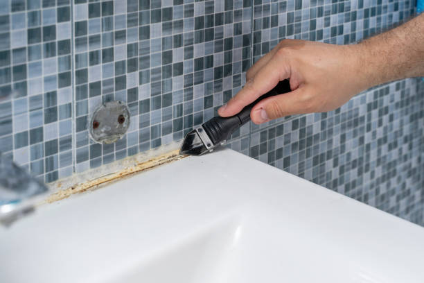 Best Mold Testing and Removal  in Carey, OH