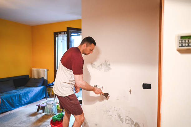 Best Mold Inspection  in Carey, OH